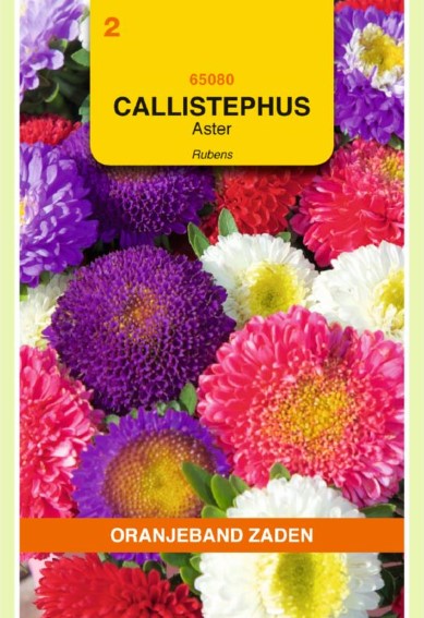 Sommeraster Rubens (Callistephus chinensis) 325 Samen